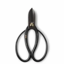 Shears Iron Bairyu Bonsai 165mm