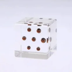 Sola Cube Balloon Plant