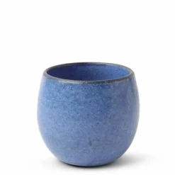 Teacup Umeshu Blue